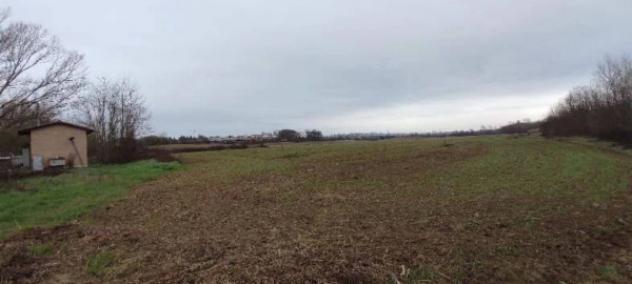 Immobile in asta di 76942 m² in vendita a Siena - Foto 14