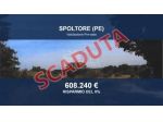 Immobile in asta di 24382 m² in vendita a Spoltore
