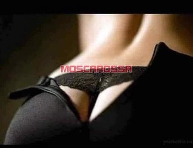 Signora italiana signora italiana elegante aspetta distinti tutti i giorni - Foto 3 Tel:0000000000000001