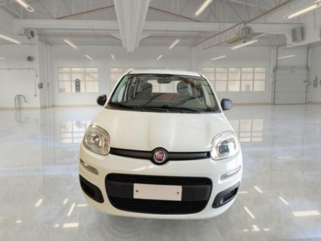 FIAT Panda 1.2 Pop rif. 23795286 - Foto 6
