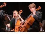 Violoncellista Asti
