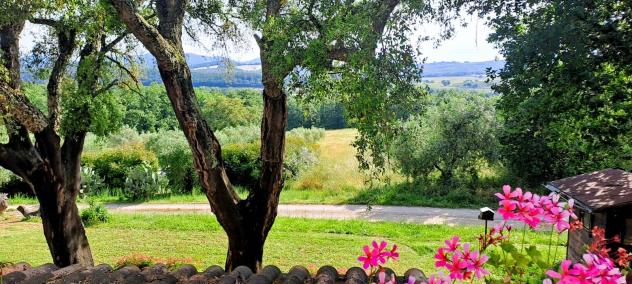Vendita Rustico casale da 680 mq con giardino - Foto 19