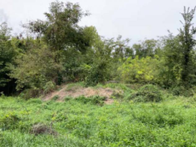 Immobile in asta di 49900 m² in vendita a Mantova
