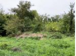 Immobile in asta di 49900 m² in vendita a Mantova