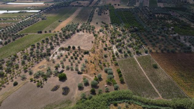 Terreno Agricolo - Noto . Rif.: Cod. rif 3321426VCG - Foto 6