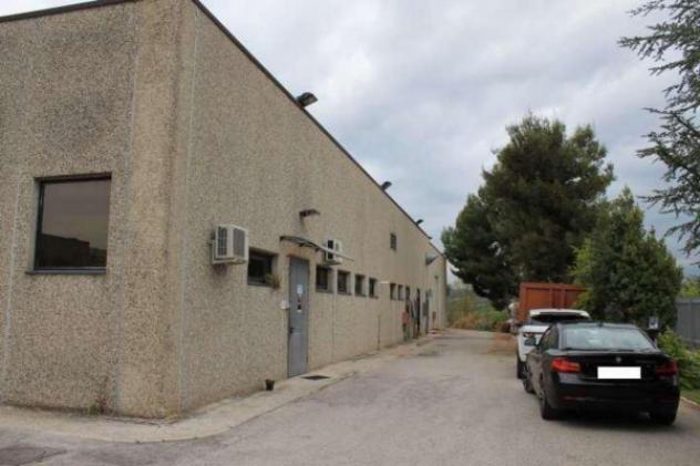 Immobile in asta di 4048 m² con più di 5 locali in vendita a Montegranaro - Foto 8