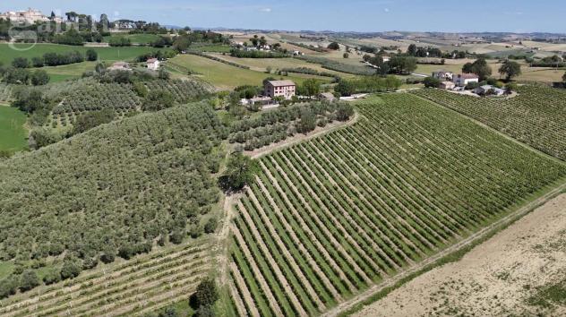 Villa bifamiliare - Arcevia . Rif.: SV04466VRG - Foto 8