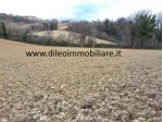 Agricolo in vendita a Carassai