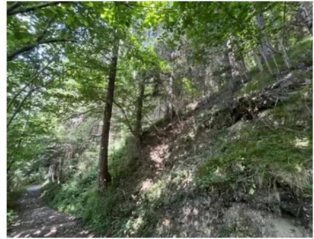 Immobile in asta di 30510 m² in vendita a Colere - Foto 7