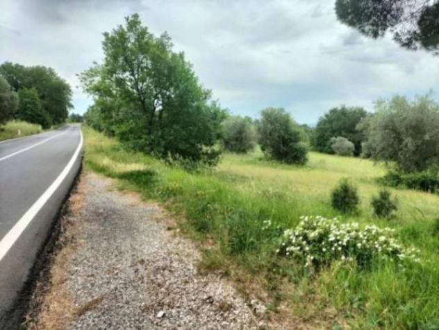 Immobile in asta di 23396 m² in vendita a Ficulle - Foto 3