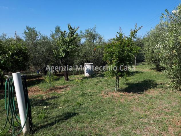 ORTO RECINTATO A POCA DISTANZA DA PESARO - Foto 10