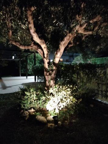 Villa bifamiliare - Foto 7
