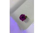 Massaggi - benessere Castellanza - STUDIO BENESSERE Tel:3385278015
