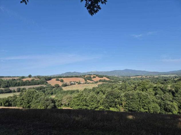 Seminativo in vendita a Civitella Paganico - Foto 13