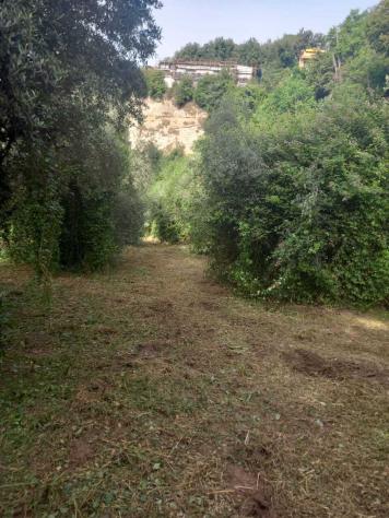 Uliveto in vendita a Morlupo - Foto 7