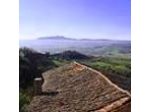 Castello di Proceno S.r.l.