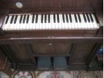 HARMONIUM GRAZIANO TUBI - Fine '800