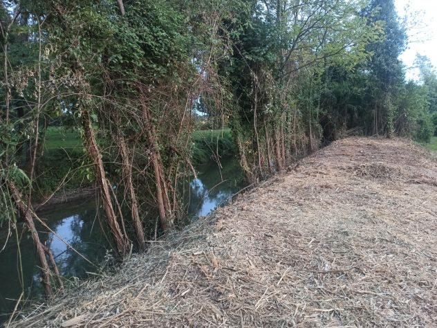 TERRENO AGRICOLO IN VENDITA ZONA MULINI CODROIPO - Foto 4