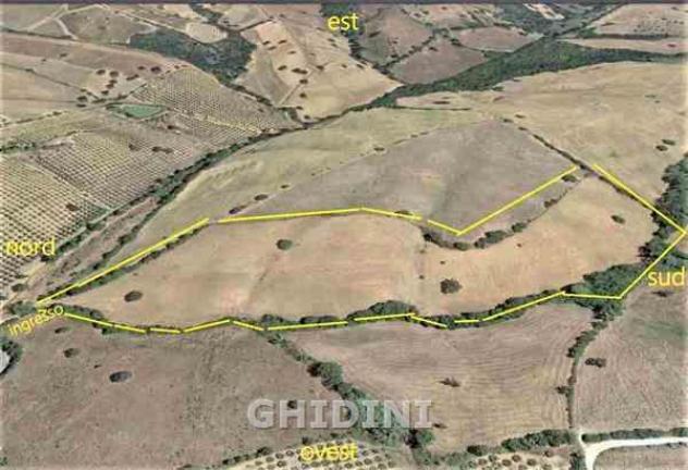 TERRENO AGRICOLO di 1 vani e di 56000 mq (GROSSETO) rif. 2259.159M