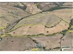 TERRENO AGRICOLO di 1 vani e di 56000 mq (GROSSETO) rif. 2259.159M