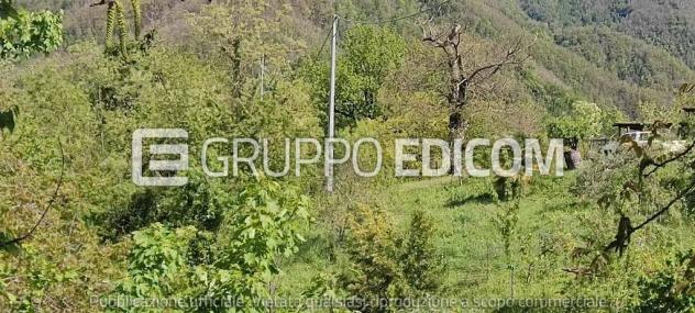Terreno in vendita a Mulazzo - Rif. 3560036 - Foto 7