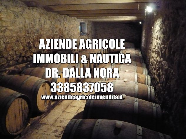 VIGNETO DI PROSECCO DOC - Foto 7