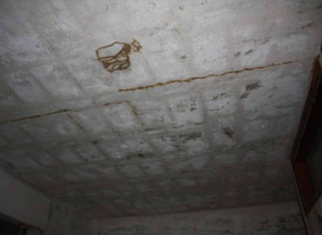 Immobile in asta di 70 m² con più di 5 locali in vendita a Cetraro - Foto 5