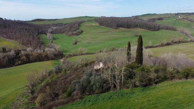 Terreno agricolo in vendita a Asciano 630000 mq Rif: 1083755 - Foto 8