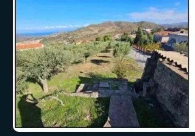 Immobile in asta di 4619 m² in vendita a Cerda - Foto 2
