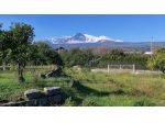 Agricolo in vendita a Giarre