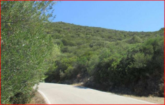 Immobile in asta di 20085 m² in vendita a Viddalba - Foto 4