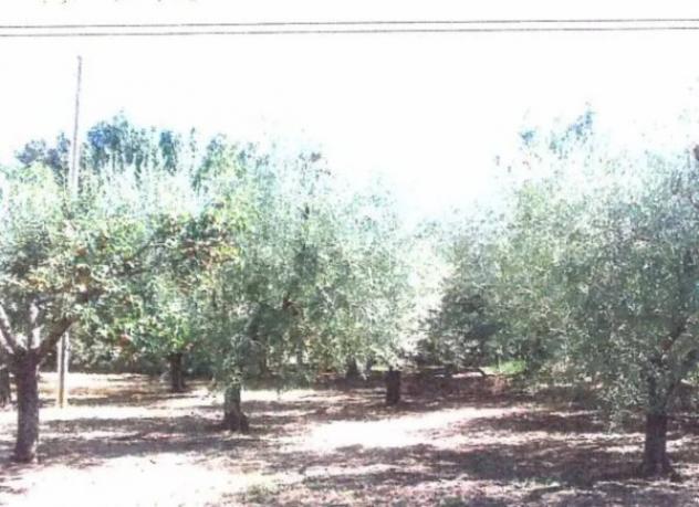 Immobile in asta di 56 m² in vendita a Velletri - Foto 6