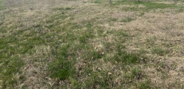 Immobile in asta di 10661 m² in vendita a San Possidonio - Foto 10
