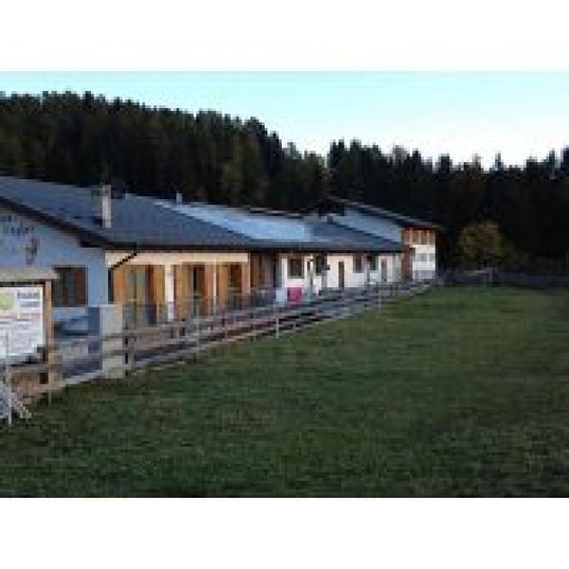 Muraro Massimo - Foto 3