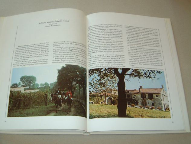 Spumanti in Franciacorta - Ottorino Milesi - Foto 9