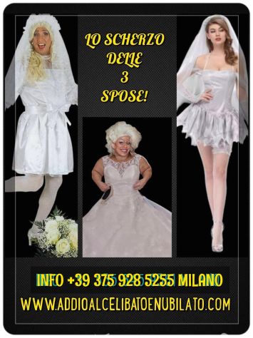 Affittasi nani in tutta Italia! - Foto 3