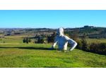 Terreno agricolo in vendita a Peccioli 33355 mq  Rif: 1337227
