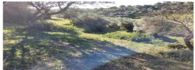 Immobile in asta di 51620 m² in vendita a Ragusa - Foto 5
