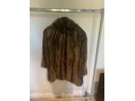 Pelliccia Marmotta