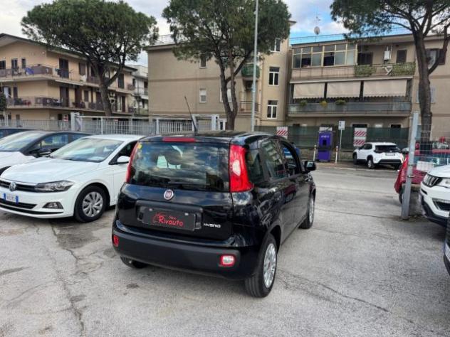 FIAT Panda 1.0 FireFly S&S Hybrid Easy rif. 23838031 - Foto 6