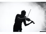 Violinista Canelli