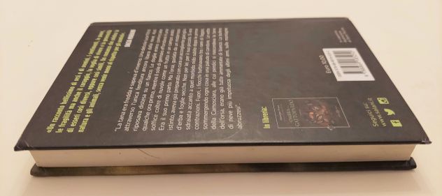 Il passaggio dell'orso di Giuseppe Festa Salani Editore, marzo 2015 - Foto 4