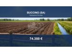 Immobile in asta di 64799 m² in vendita a Buccino