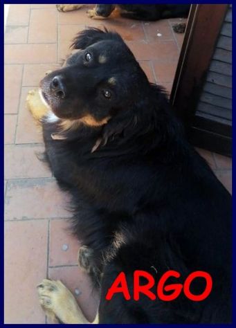 LILLY e ARGO 6anni bravi un po' vagabondi! - Foto 8