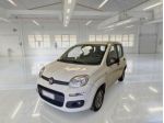 FIAT Panda 1.2 69cv S&S E6d-Temp Easy FINO A 3 ANNI DI GARANZIA