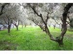 Porzione di casa in vendita a Vicopisano 276 mq  Rif: 1322179