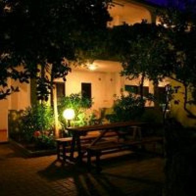 Oleificio F.lli Vieste S.r.l. - Foto 3