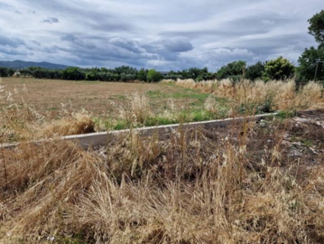 Immobile in asta di 32600 m² in vendita a Ciampino - Foto 7