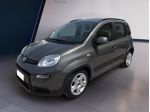 FIAT Panda Panda 1.0 firefly hybrid s&s 70cv