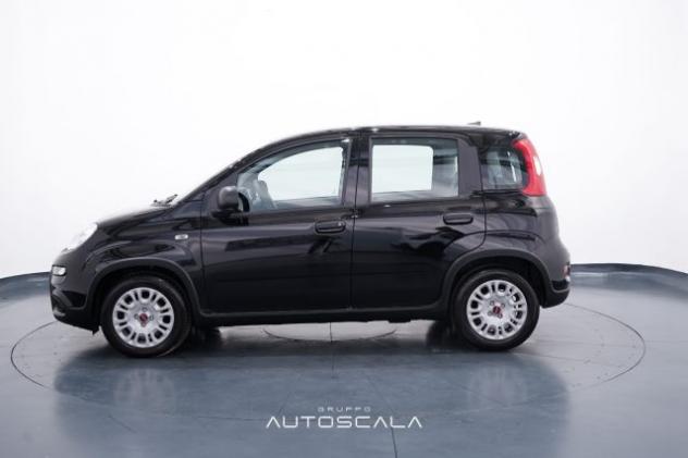 FIAT New Panda 1.0 FireFly S&S Hybrid Pack City rif. 24130849 - Foto 3